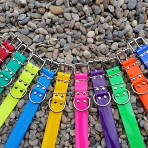 collar biothane 500mm x 38mm.