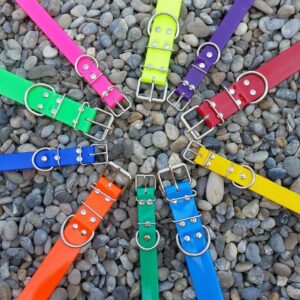 Collares perro biothane