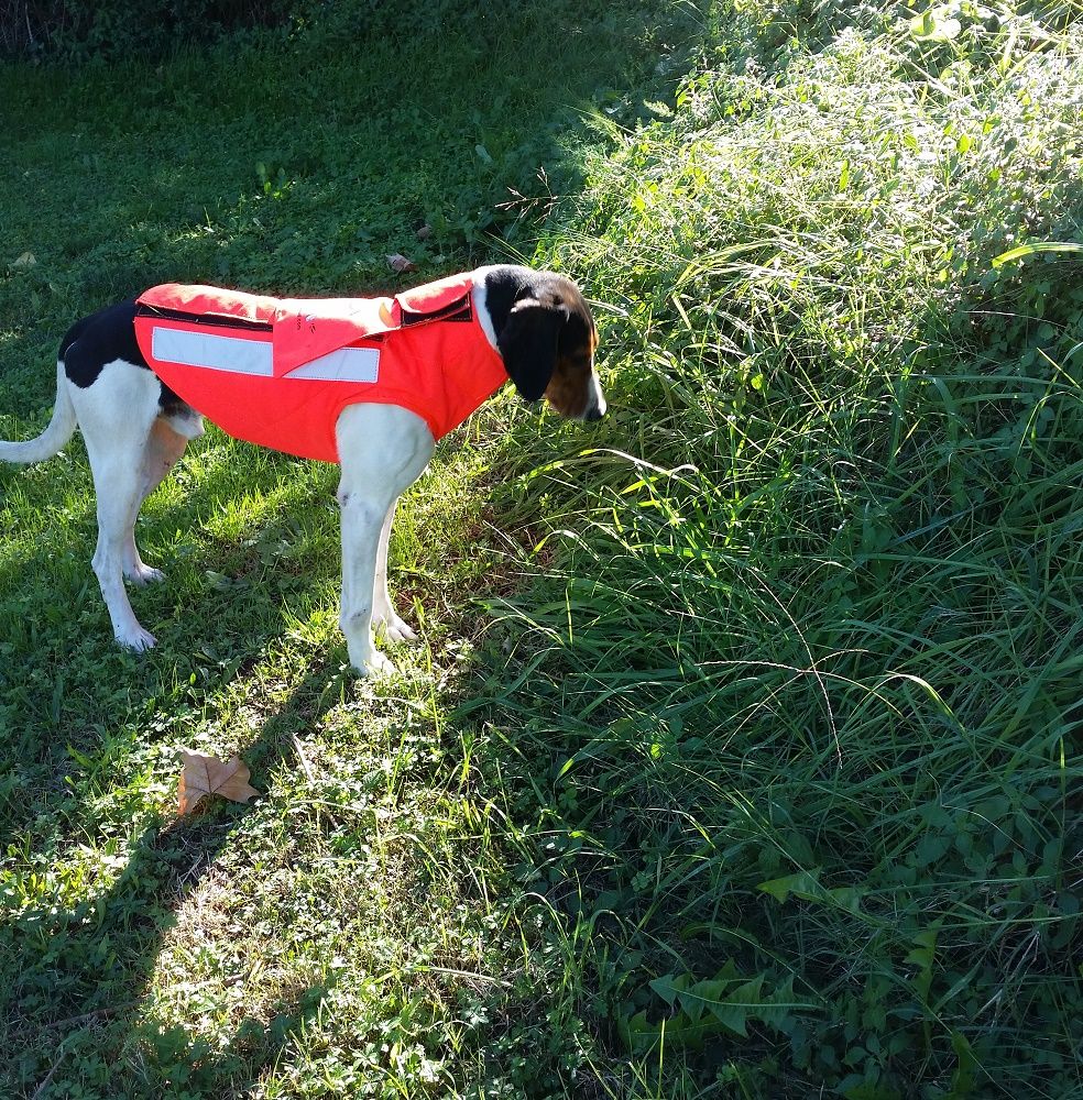 CHALECO PERRO AU NARANJA CON PROTECTOR - Imagen 3