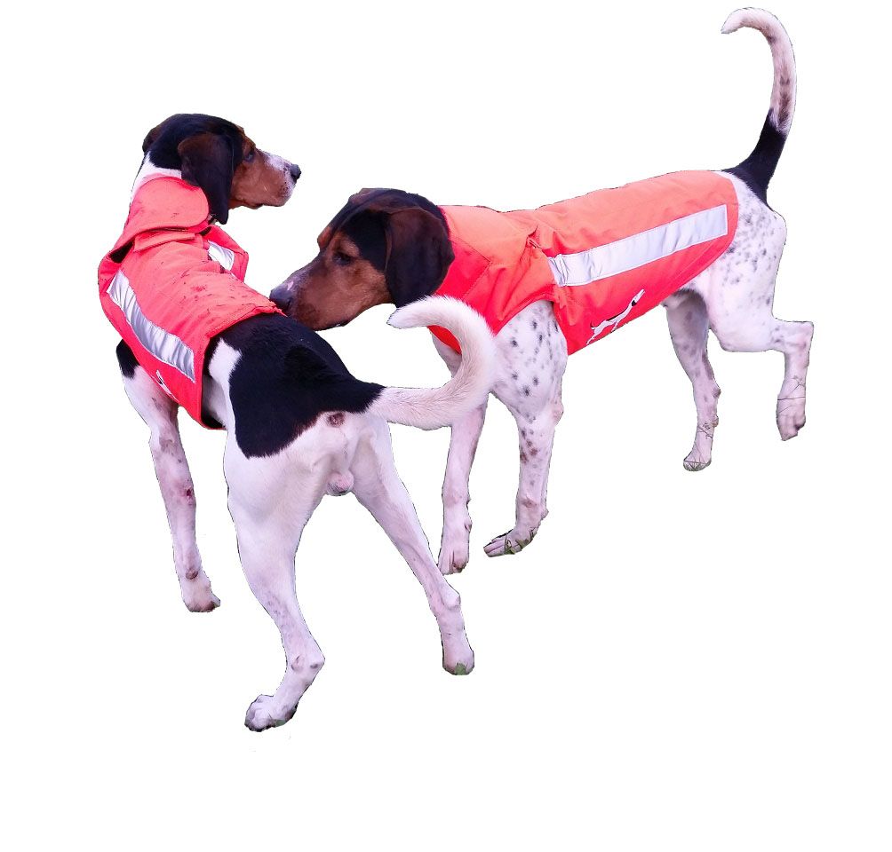 CHALECO PERRO AU NARANJA