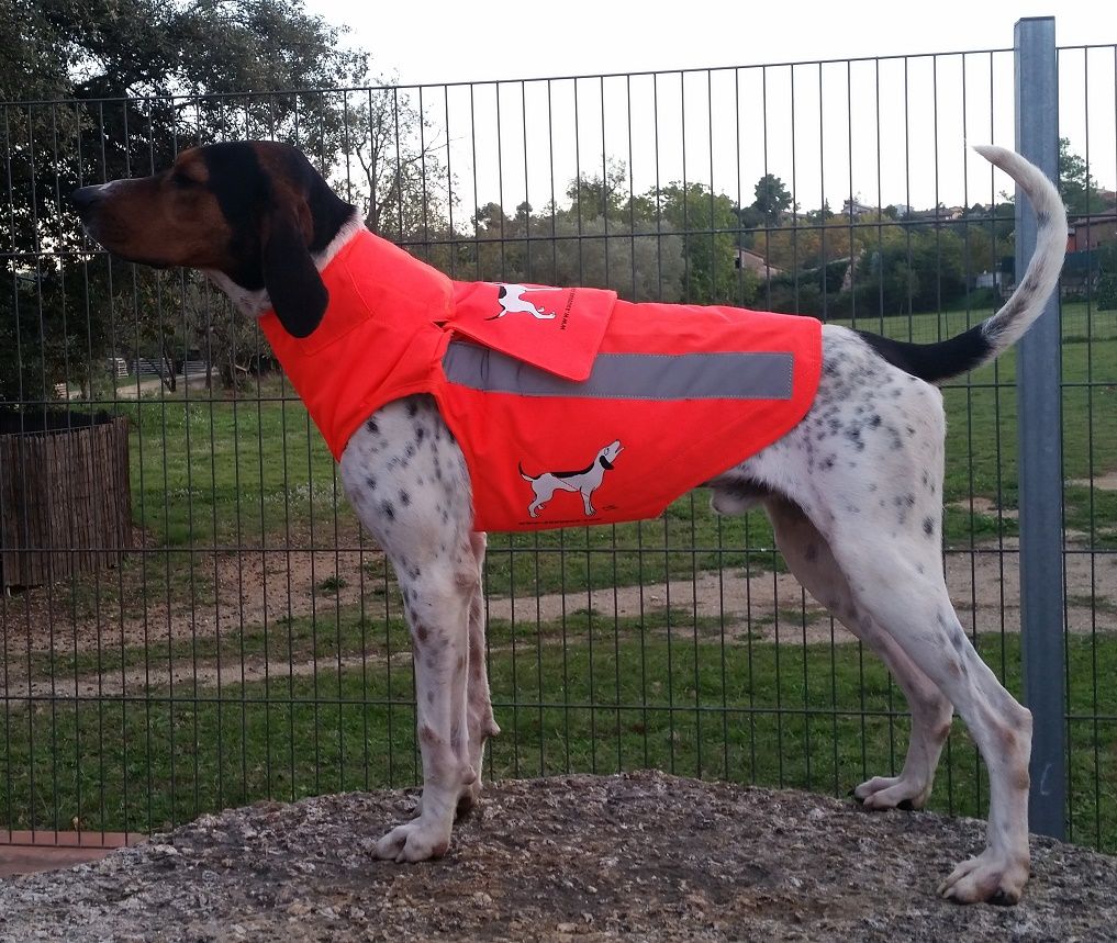 CHALECO PERRO AU NARANJA CON PROTECTOR - Imagen 6