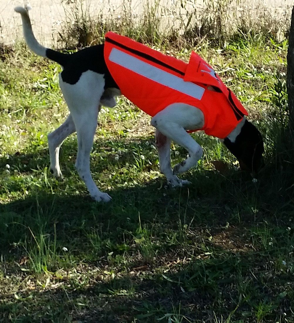 CHALECO PERRO AU NARANJA CON PROTECTOR - Imagen 2