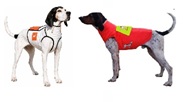 Chalecos perros